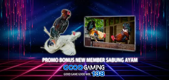PROMO BONUS NEW MEMBER SABUNG AYAM ONLINE